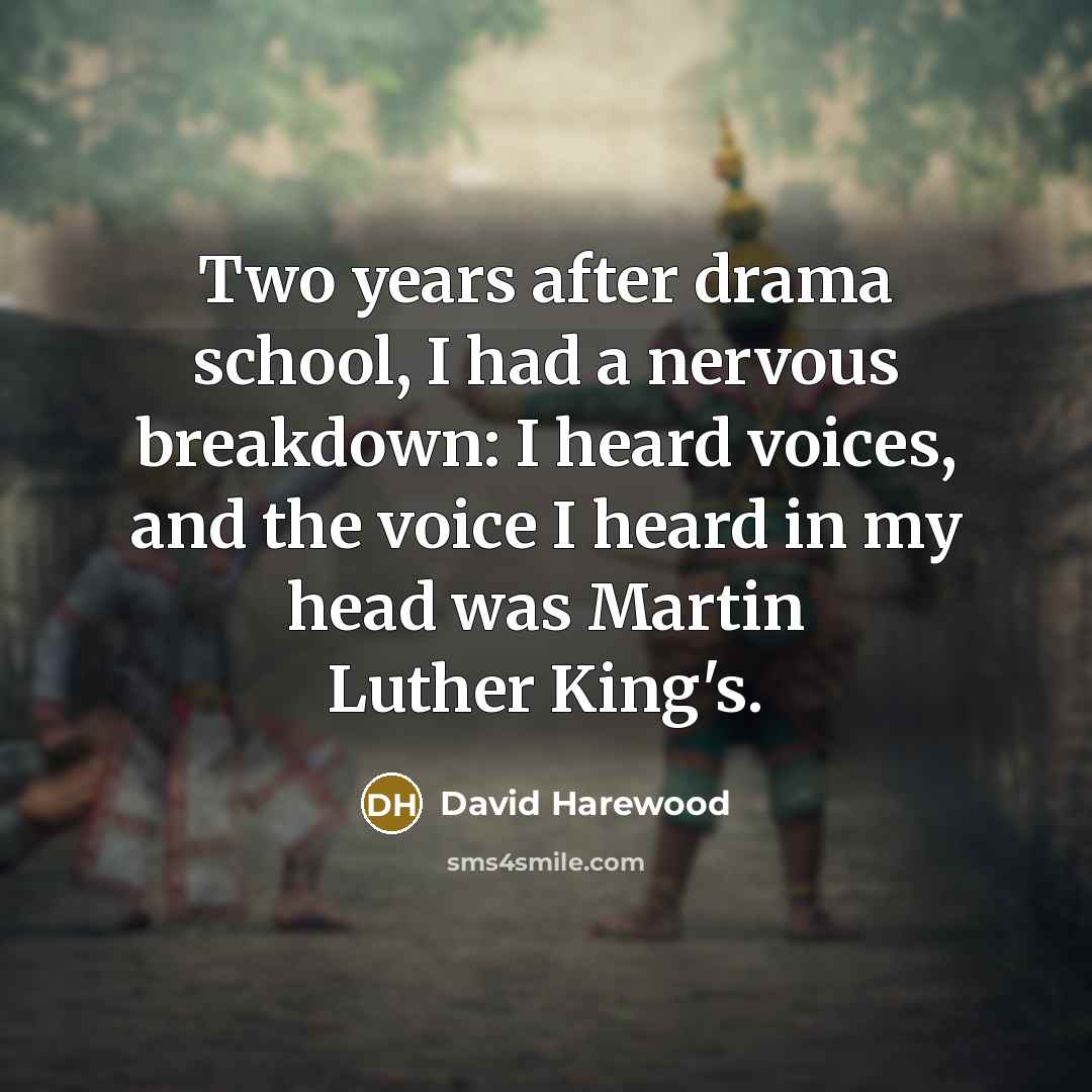 “Two years after drama school, I had a nervous breakdown: I heard voices, and the voice I heard in my head was Martin Luther King's.” quote by David Harewood