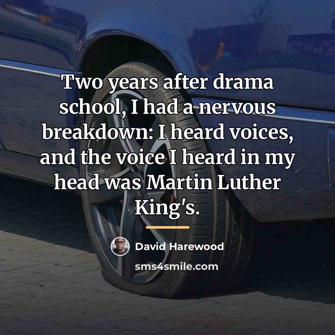 “Two years after drama school, I had a nervous breakdown:…” quote by David Harewood
