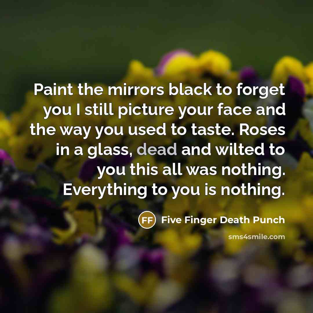 “Paint the mirrors black to forget you I still picture…” quote by Five Finger Death Punch