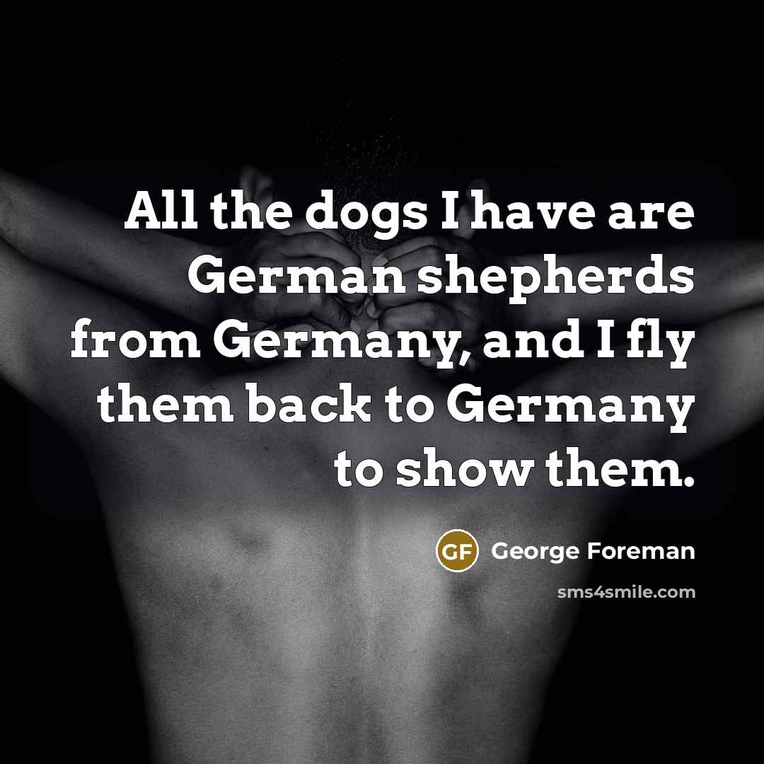 “All the dogs I have are German shepherds from Germany,…” quote by George Foreman