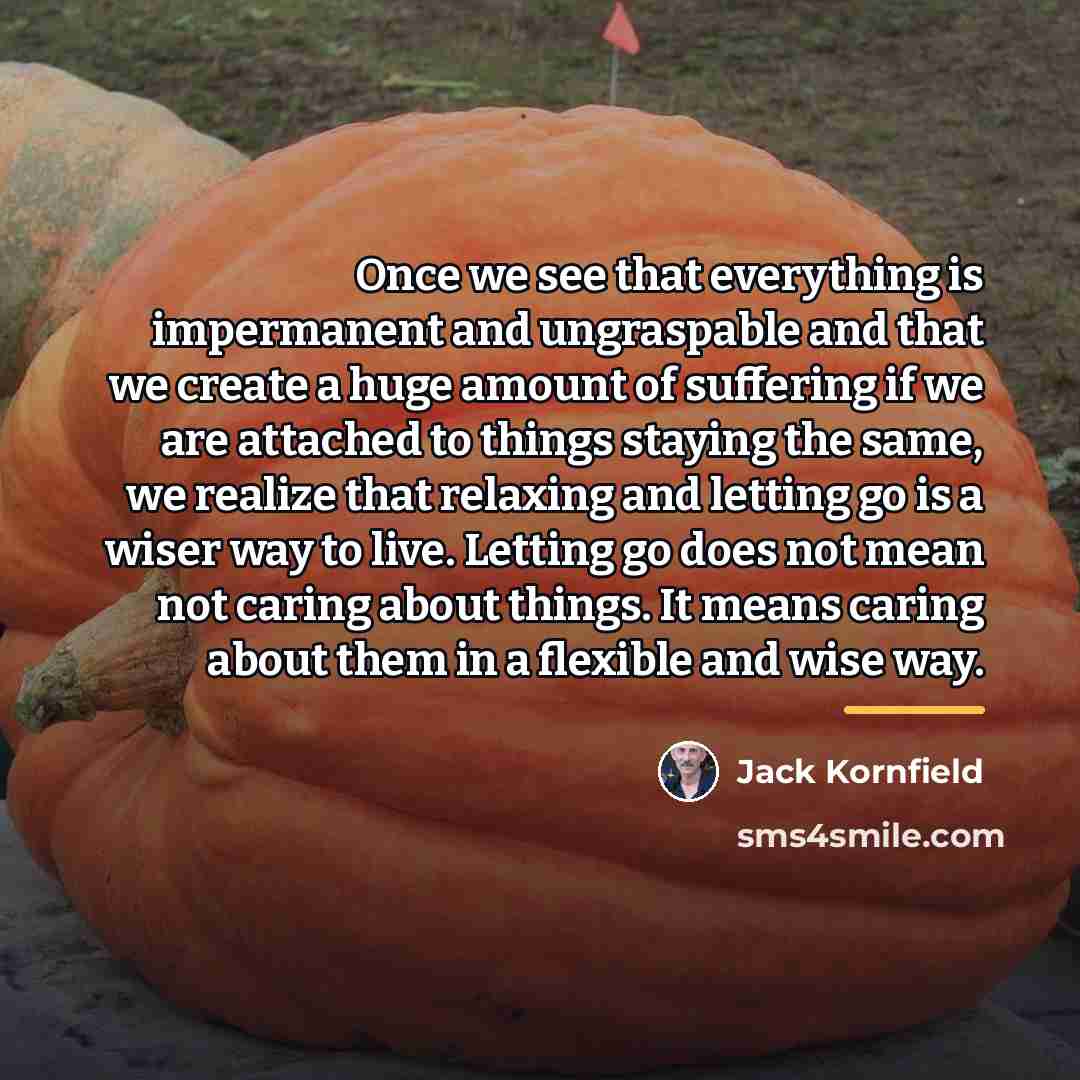 “Once we see that everything is impermanent and ungraspable and…” quote by Jack Kornfield