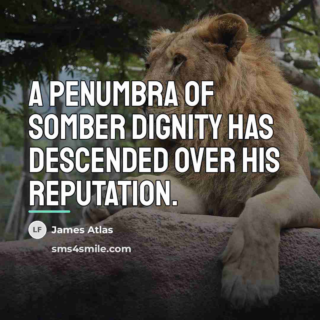 “A penumbra of somber dignity has descended over his reputation.…” quote by James Atlas