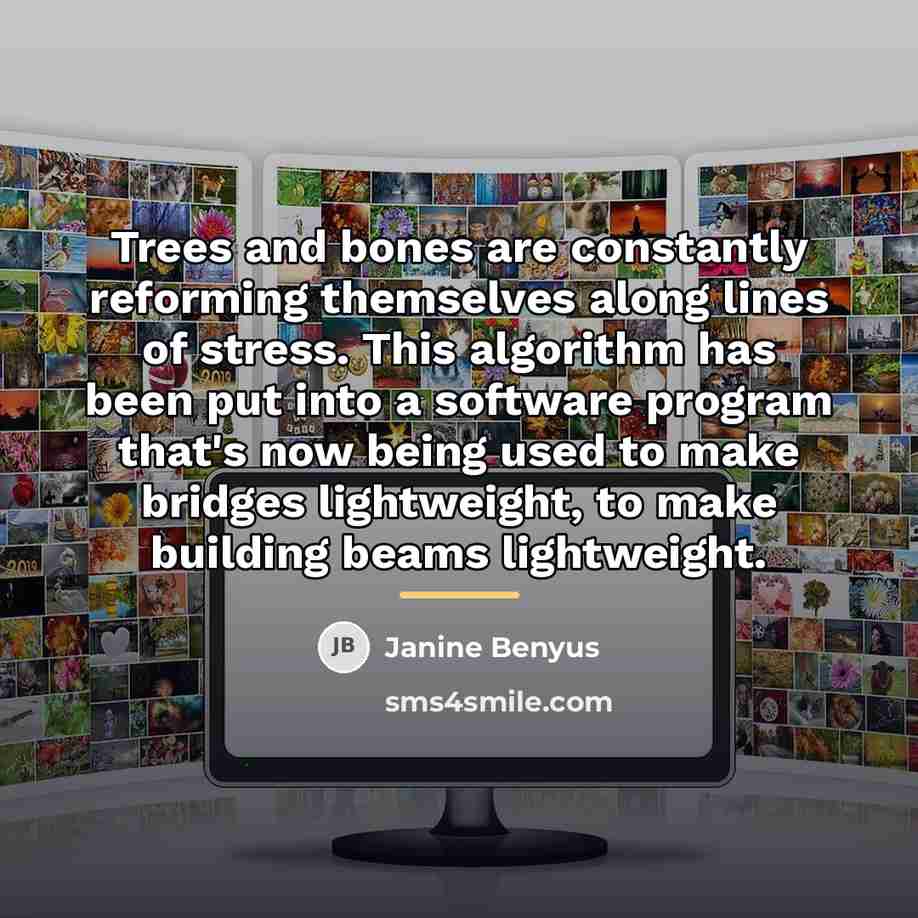 “Trees and bones are constantly reforming themselves along lines of…” quote by Janine Benyus