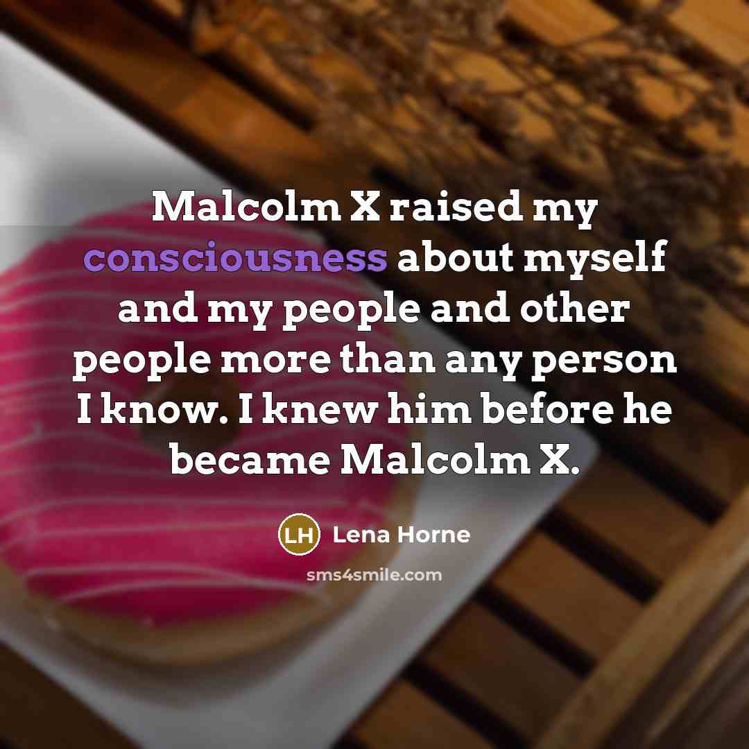 “Malcolm X raised my consciousness about myself and my people…” quote by Lena Horne
