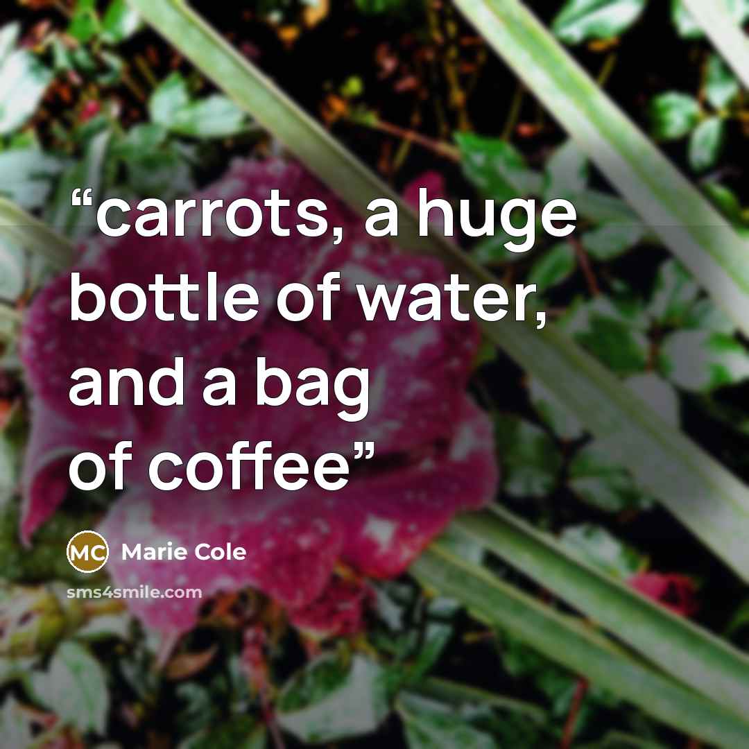 “carrots, a huge bottle of water, and a bag of coffee” quote by Marie Cole