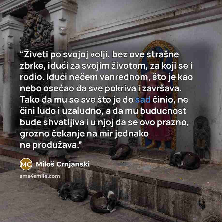 “Živeti po svojoj volji, bez ove strašne zbrke, idući za svojim životom, za koji se i rodio. Idući nečem vanrednom, što je kao nebo osećao da sve pokriva i završava. Tako da mu se sve što je do sad činio, ne čini ludo i uzaludno, a da mu budućnost bude shvatljiva i u njoj da se ovo prazno, grozno…” quote by Miloš Crnjanski