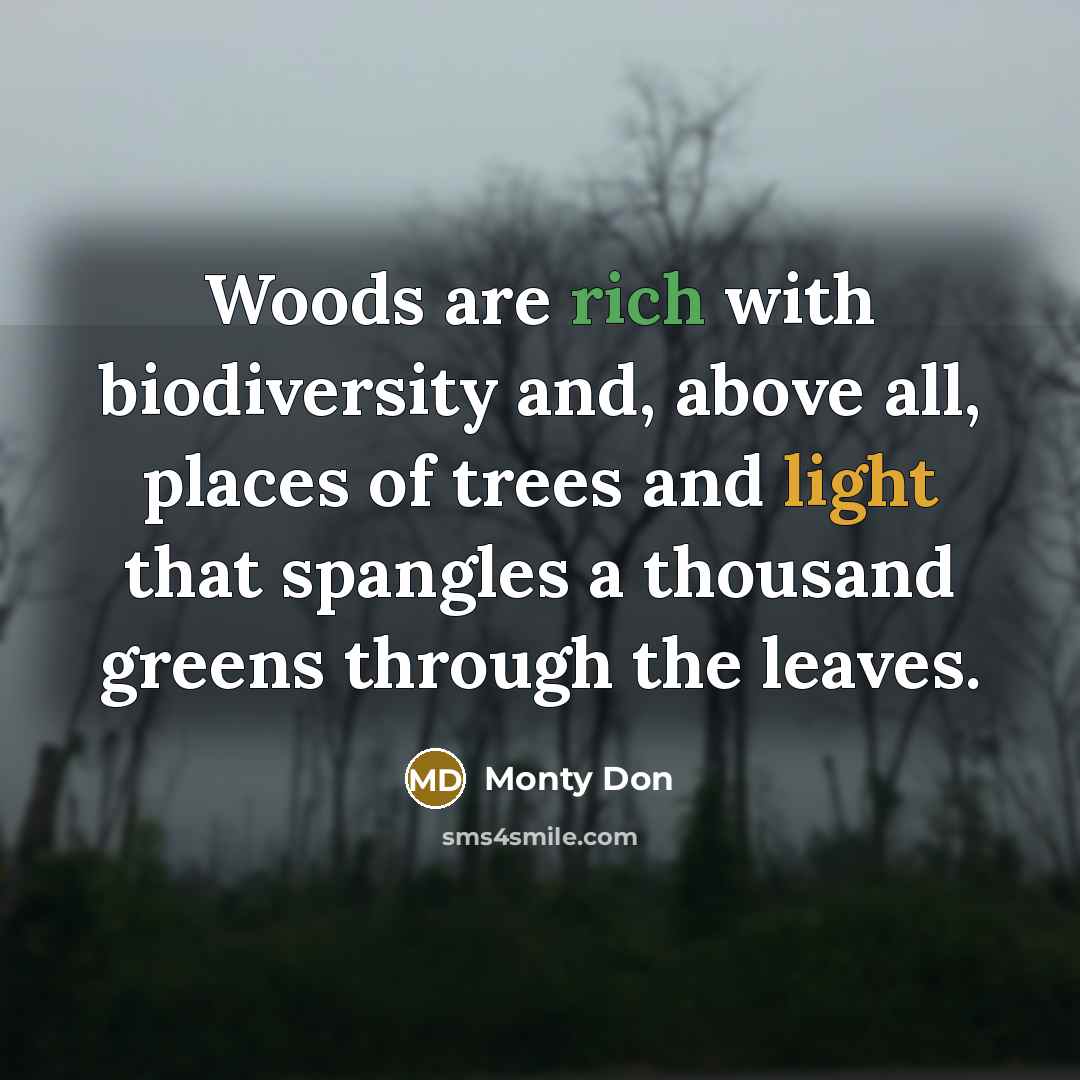 “Woods are rich with biodiversity and, above all, places of trees and light that spangles a thousand greens through the leaves.” quote by Monty Don