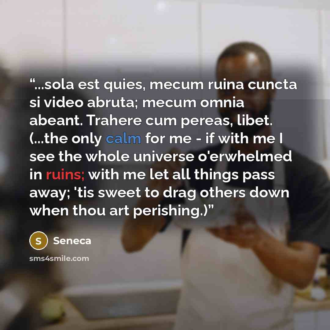 “...sola est quies, mecum ruina cuncta si video abruta; mecum omnia abeant. Trahere cum pereas, libet. (...the only calm for me - if with me I see the whole universe o'erwhelmed in ruins; with me let all things pass away; 'tis sweet to drag others down when thou art perishing.)” quote by Seneca