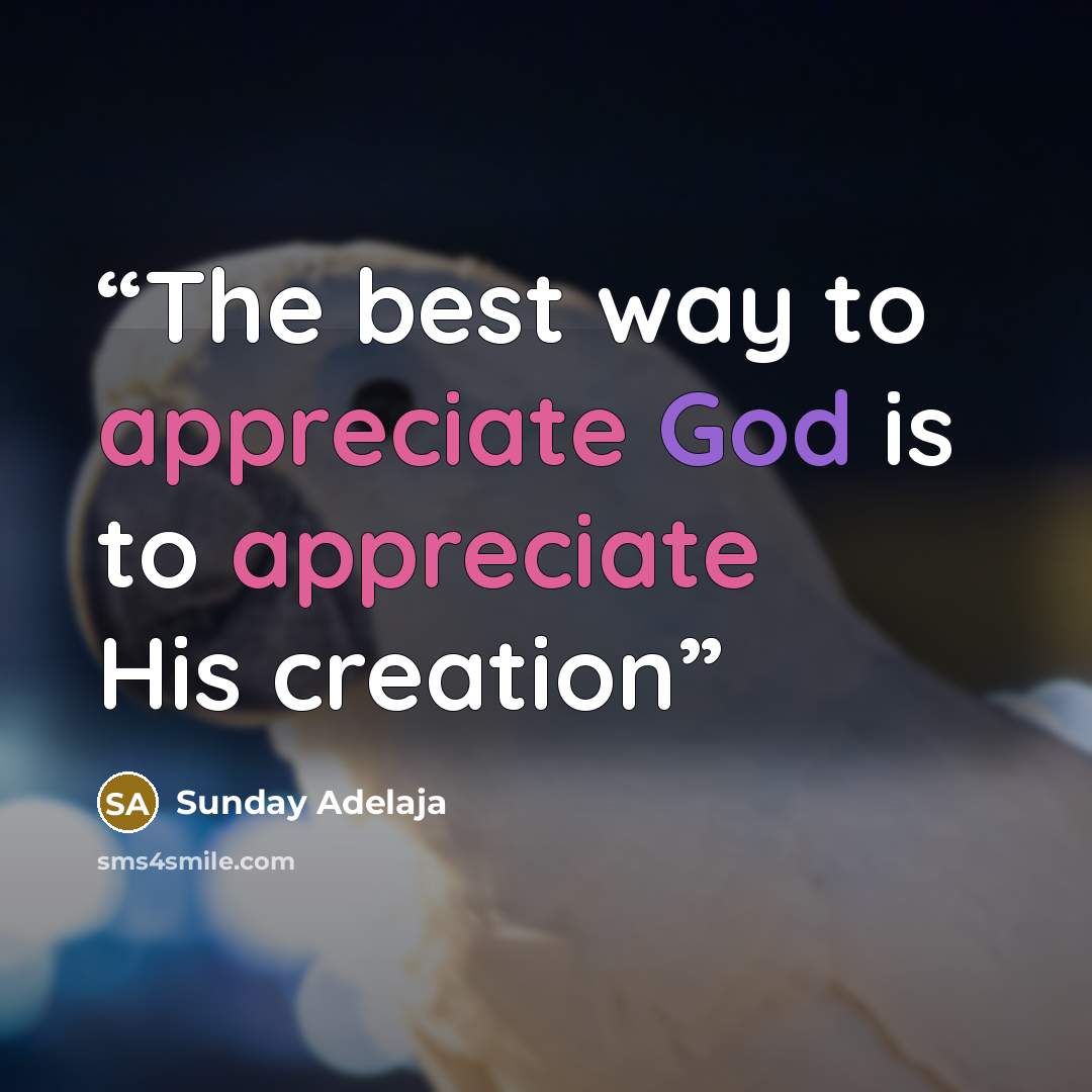 “The best way to appreciate God is to appreciate His creation” quote by Sunday Adelaja