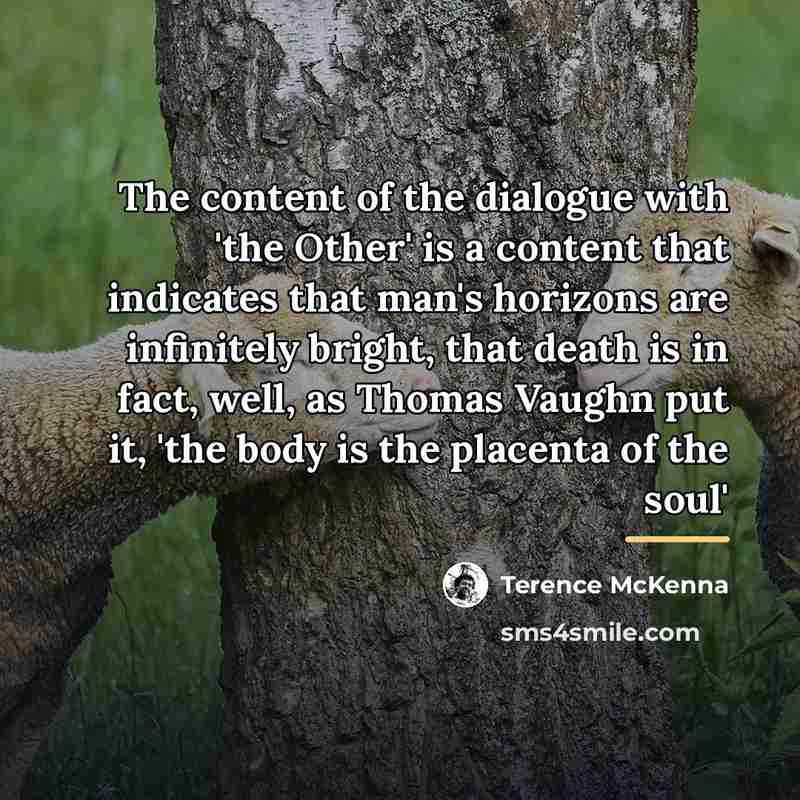 “The content of the dialogue with 'the Other' is a…” quote by Terence McKenna