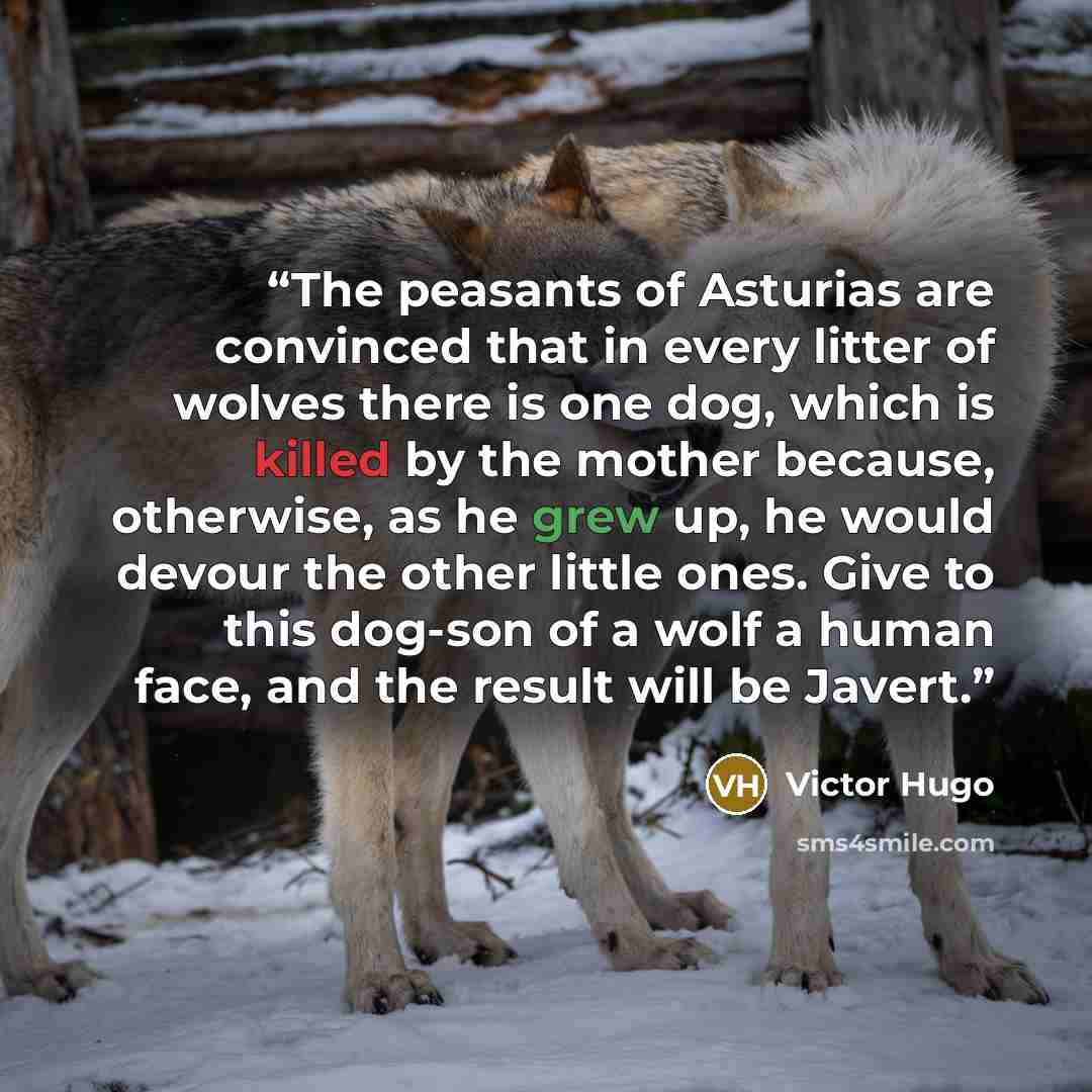 “The peasants of Asturias are convinced that in every litter of wolves there is one dog, which is killed by the mother because, otherwise, as he grew up, he would devour the other little ones. Give to this dog-son of a wolf a human face, and the result will be Javert.” quote by Victor Hugo