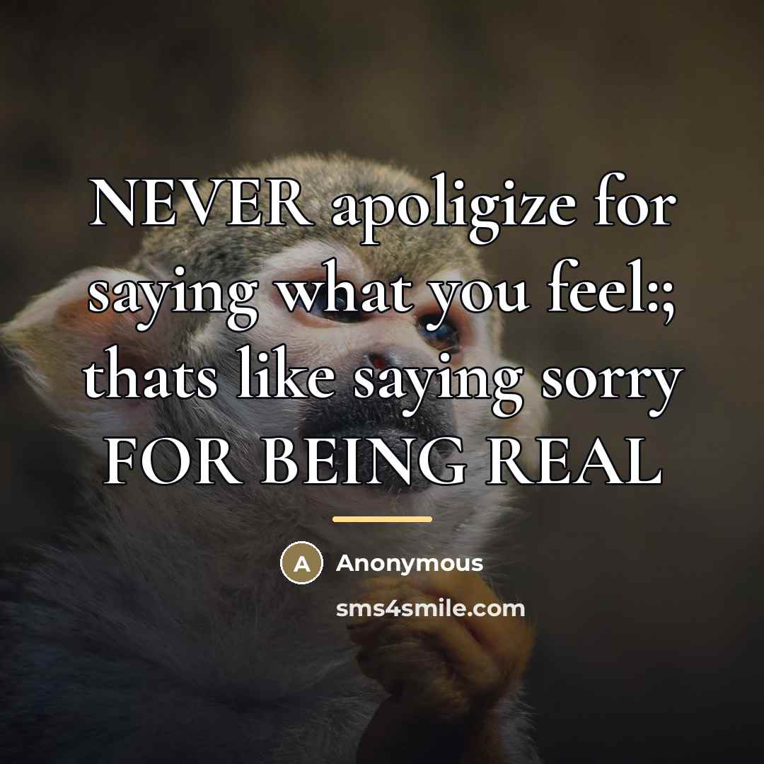 “NEVER apoligize for saying what you feel:; thats like saying…” quote by Anonymous