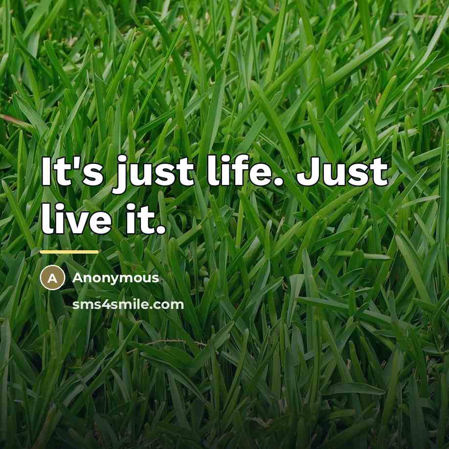 “It's just life. Just live it.…” quote by Anonymous