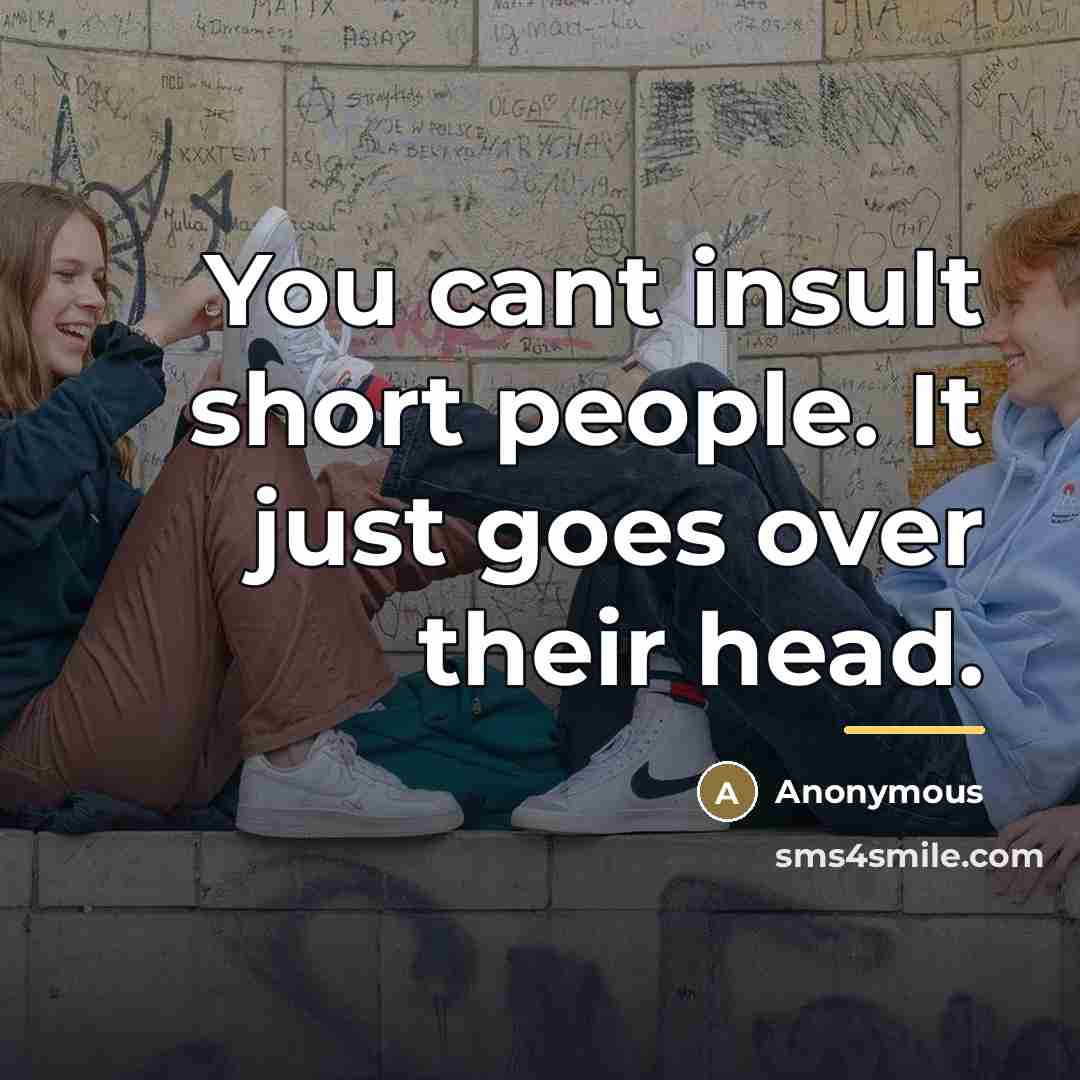 “You cant insult short people. It just goes over their…” quote by Anonymous