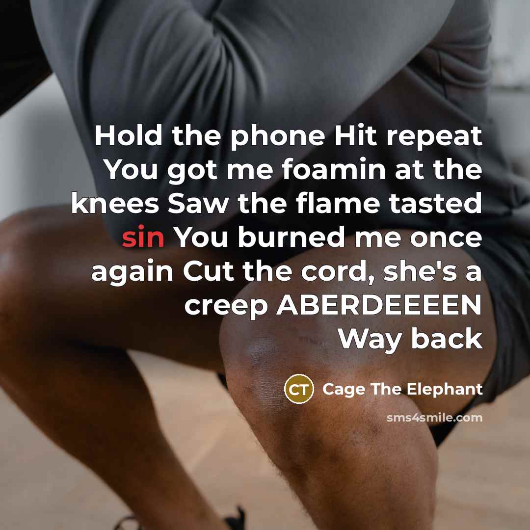 “Hold the phone Hit repeat You got me foamin at…” quote by Cage The Elephant