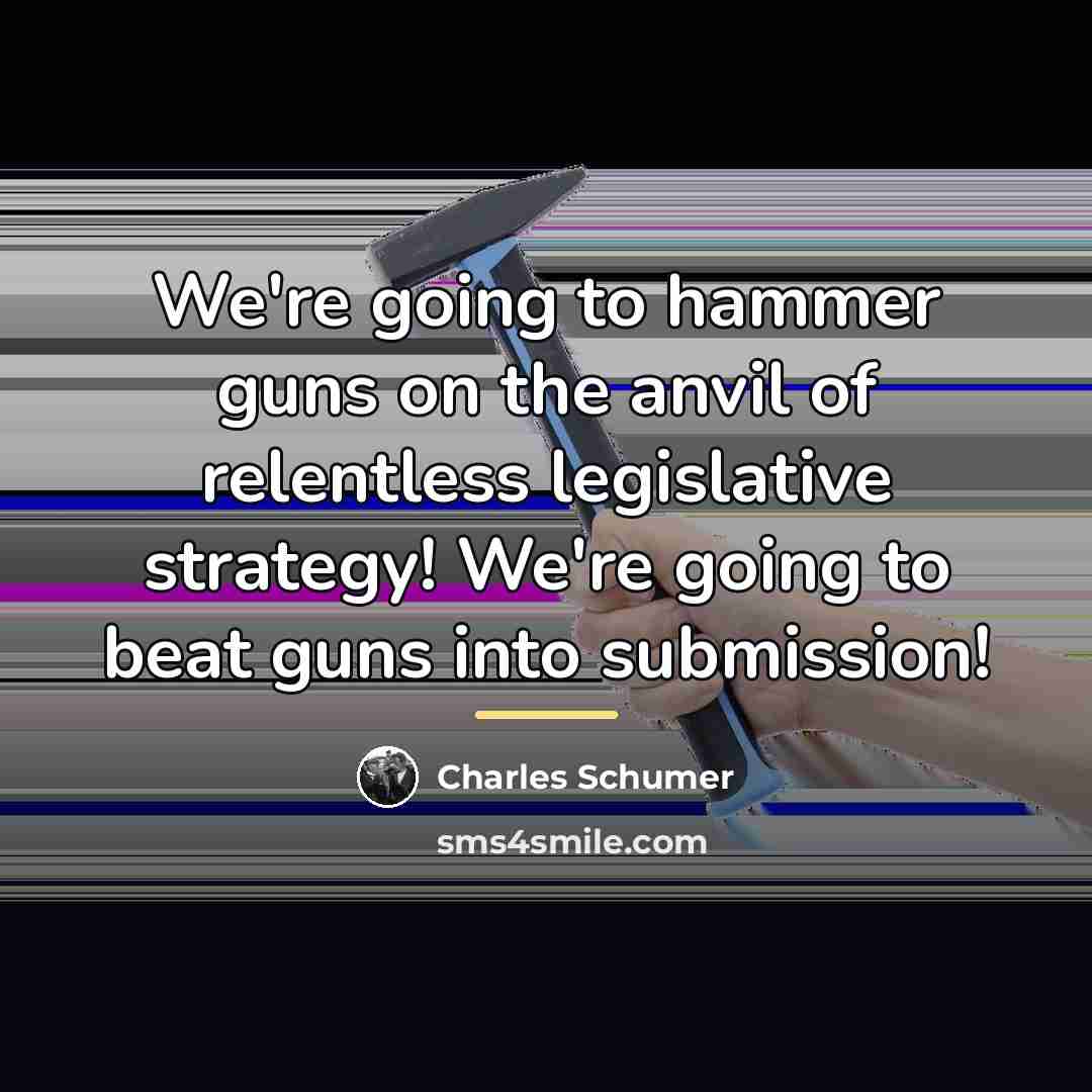 “We're going to hammer guns on the anvil of relentless…” quote by Charles Schumer