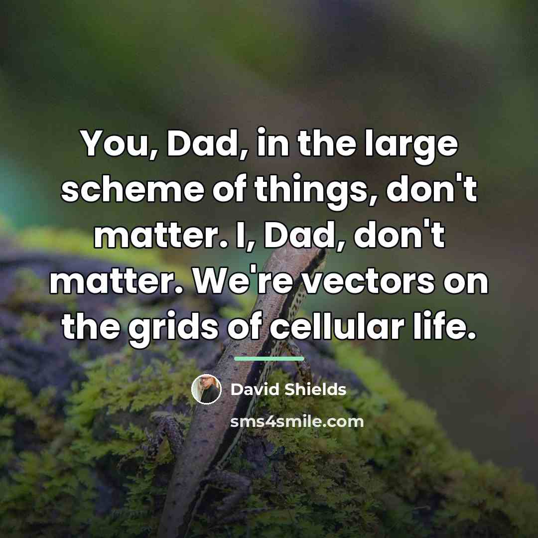 “You, Dad, in the large scheme of things, don't matter.…” quote by David Shields