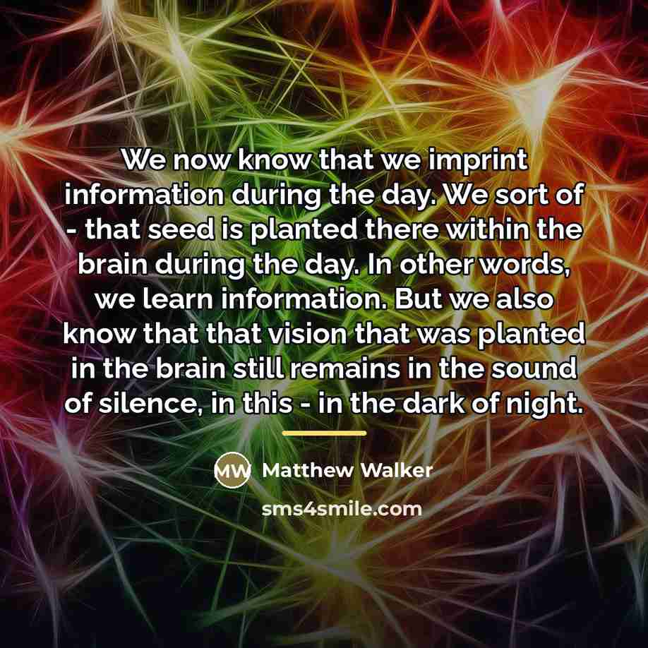 “We now know that we imprint information during the day.…” quote by Matthew Walker
