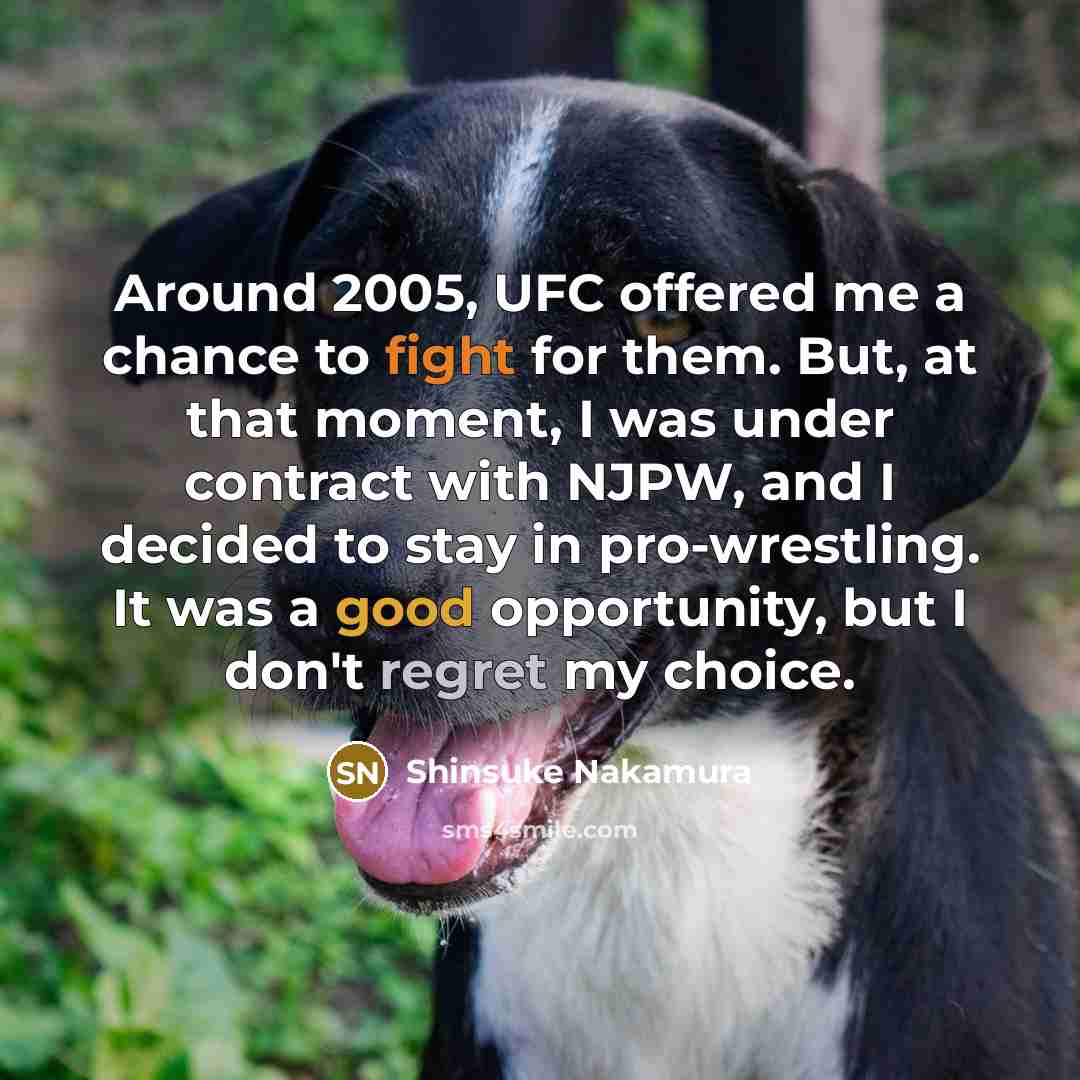 “Around 2005, UFC offered me a chance to fight for…” quote by Shinsuke Nakamura