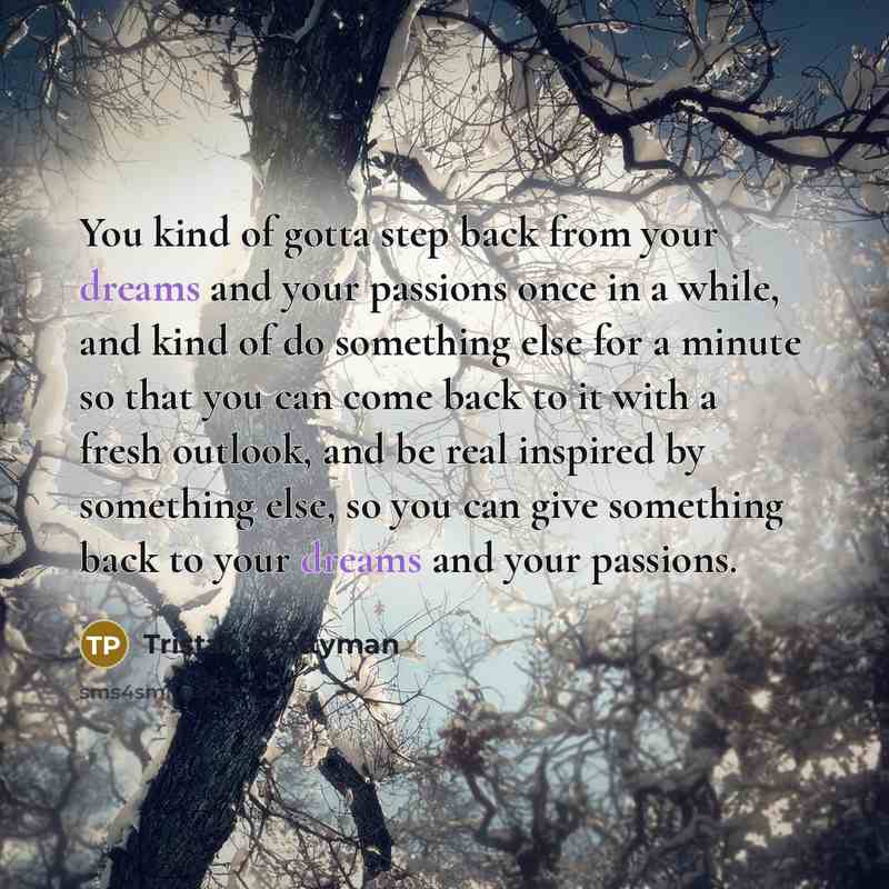 “You kind of gotta step back from your dreams and…” quote by Tristan Prettyman