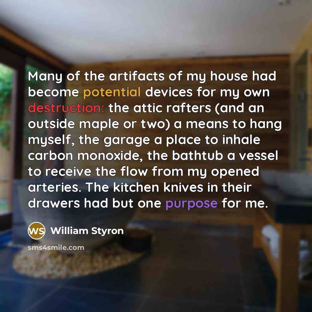 “Many of the artifacts of my house had become potential…” quote by William Styron