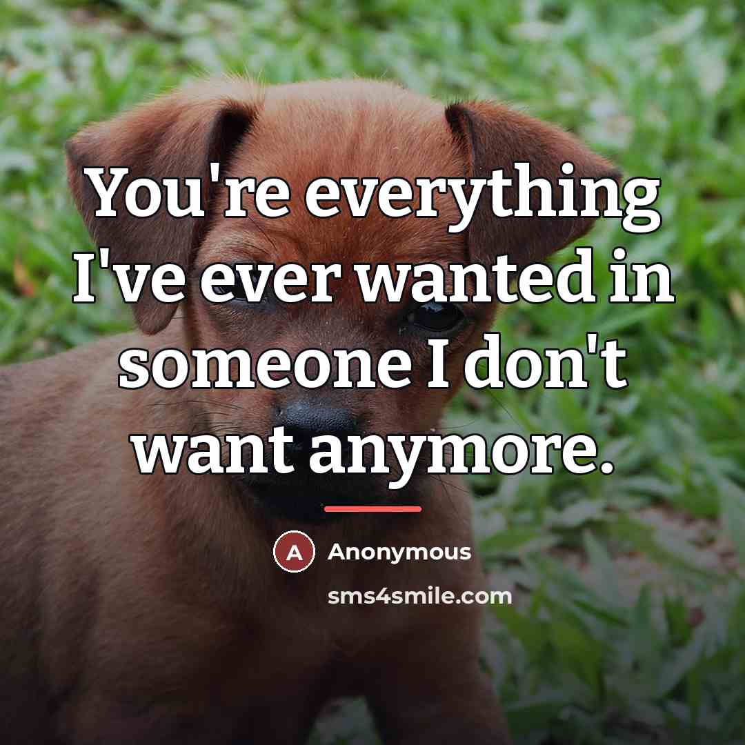 “You're everything I've ever wanted in someone I don't want…” quote by Anonymous