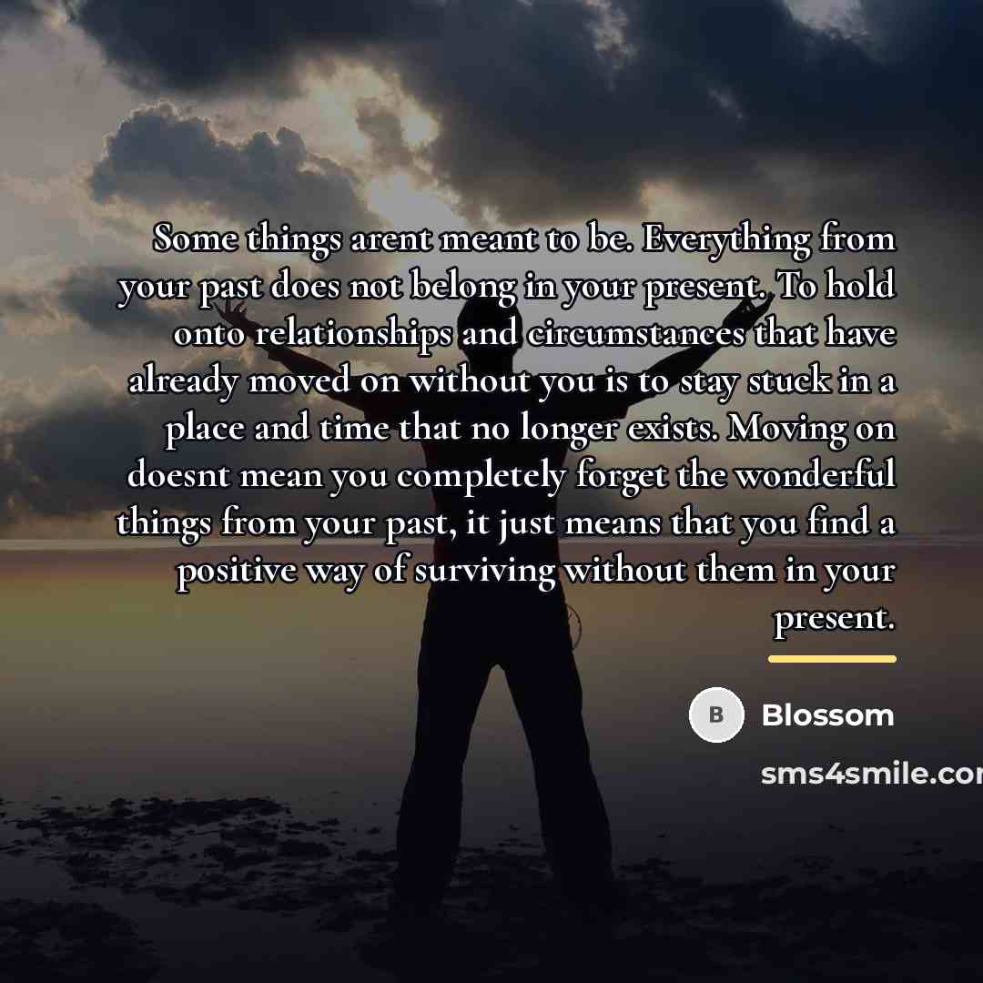 “Some things arent meant to be. Everything from your past…” quote by Blossom
