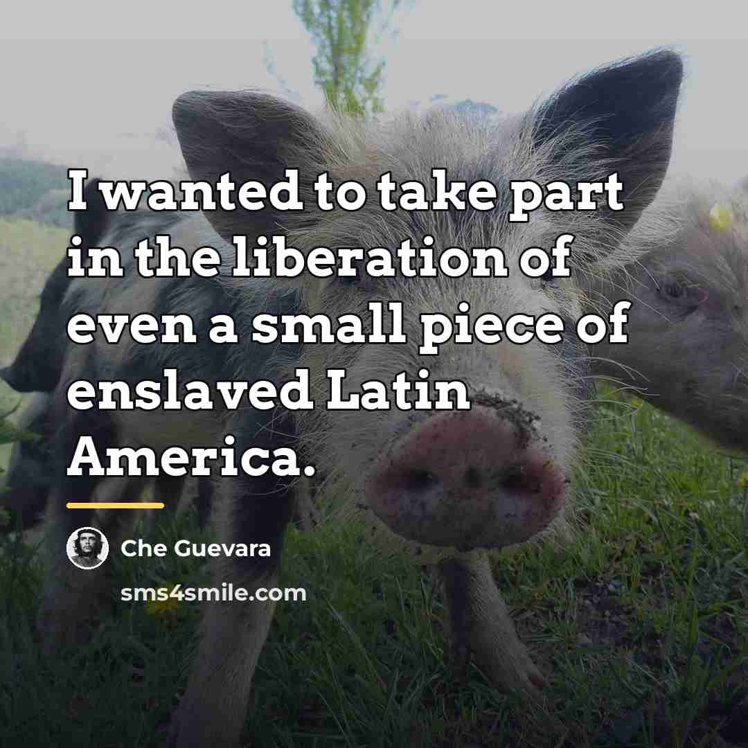 “I wanted to take part in the liberation of even…” quote by Che Guevara