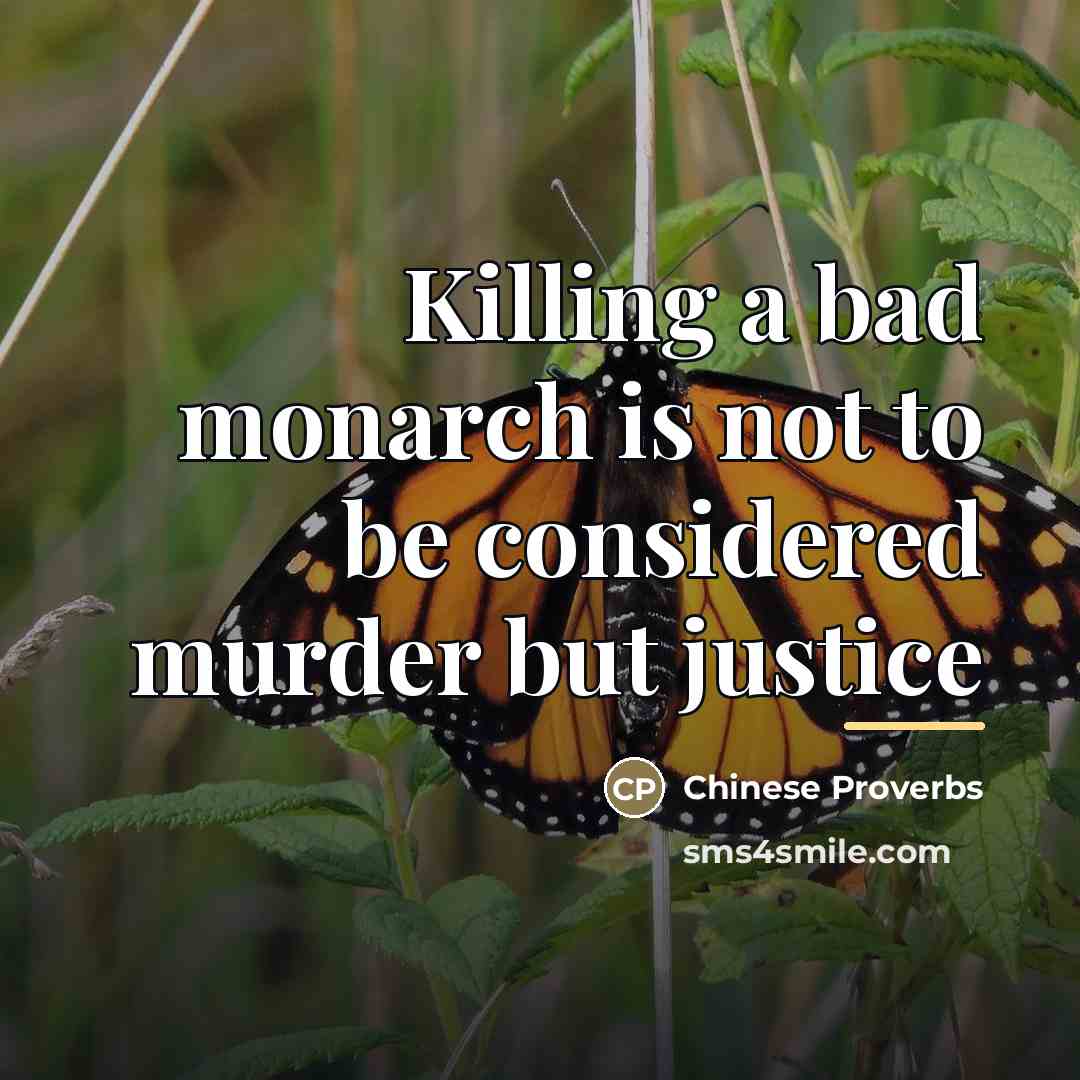 “Killing a bad monarch is not to be considered murder…” quote by Chinese Proverbs
