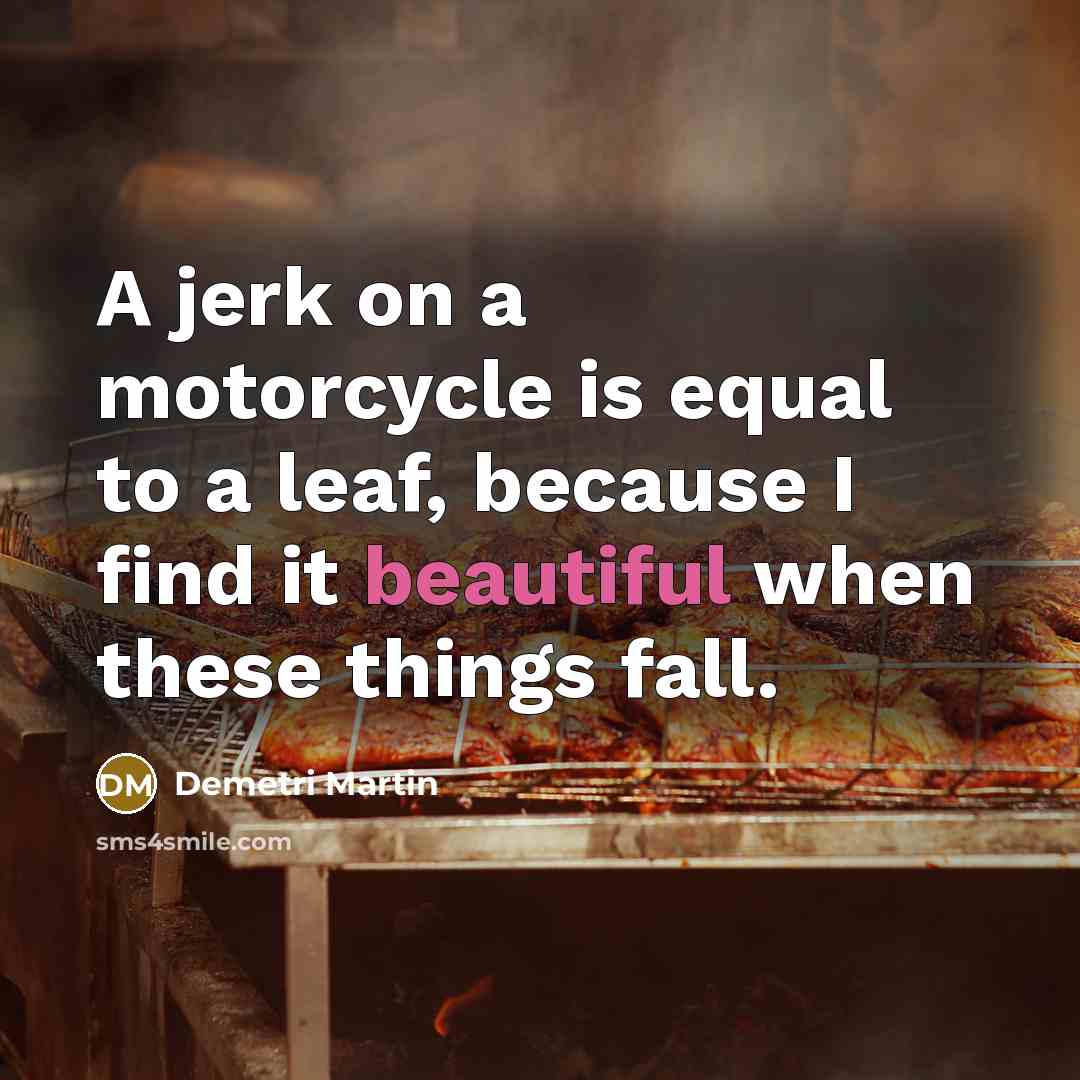 “A jerk on a motorcycle is equal to a leaf,…” quote by Demetri Martin