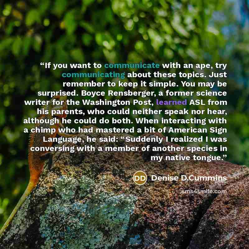 “If you want to communicate with an ape, try communicating about these topics. Just remember to keep it simple. You may be surprised. Boyce Rensberger, a former science writer for the Washington Post, learned ASL from his parents, who could neither speak nor hear, although he could do both. When…” quote by Denise D.Cummins