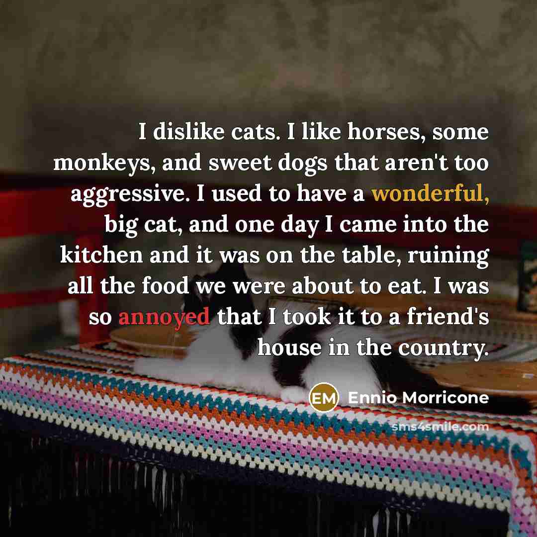 “I dislike cats. I like horses, some monkeys, and sweet…” quote by Ennio Morricone