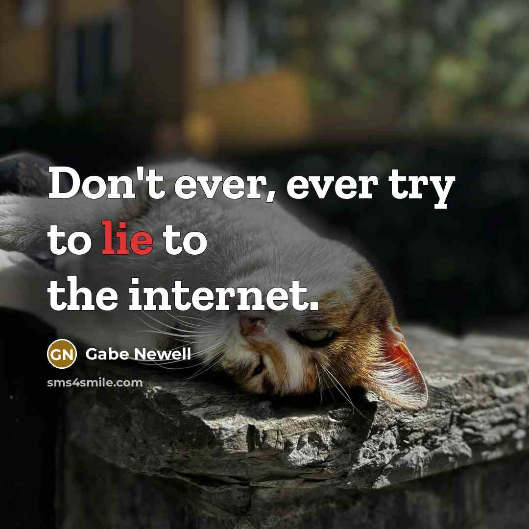 “Don't ever, ever try to lie to the internet.…” quote by Gabe Newell