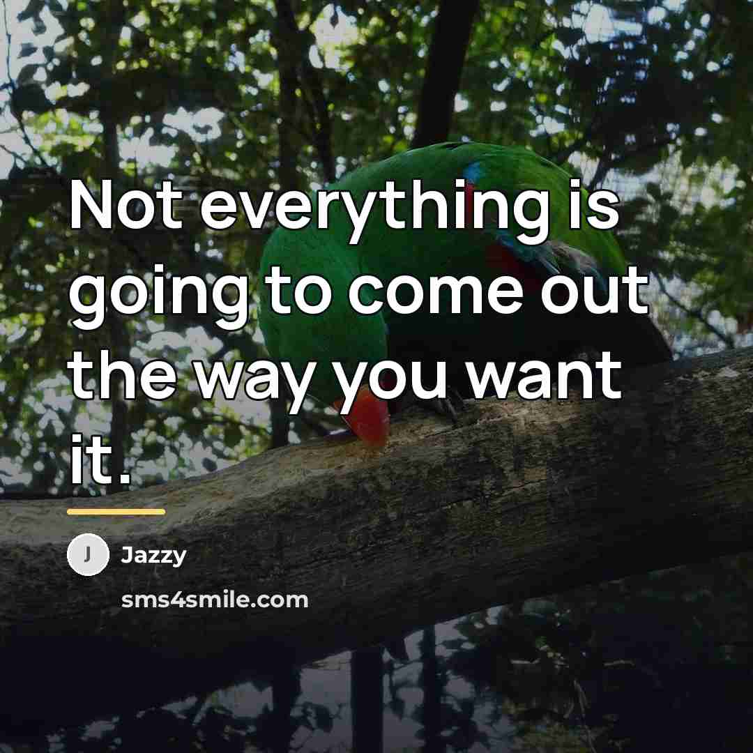 “Not everything is going to come out the way you…” quote by Jazzy