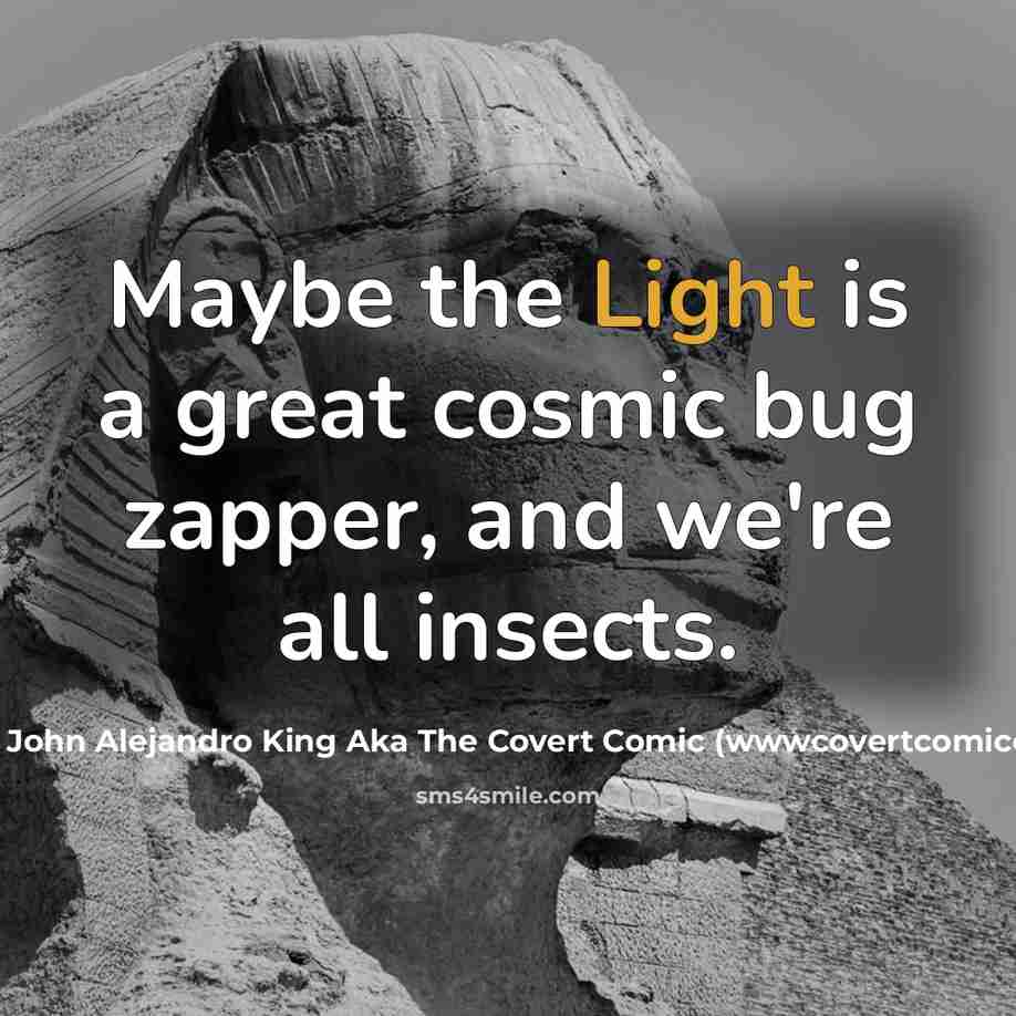 “Maybe the Light is a great cosmic bug zapper, and we're all insects.” quote by John Alejandro King Aka The Covert Comic (wwwcovertcomiccom