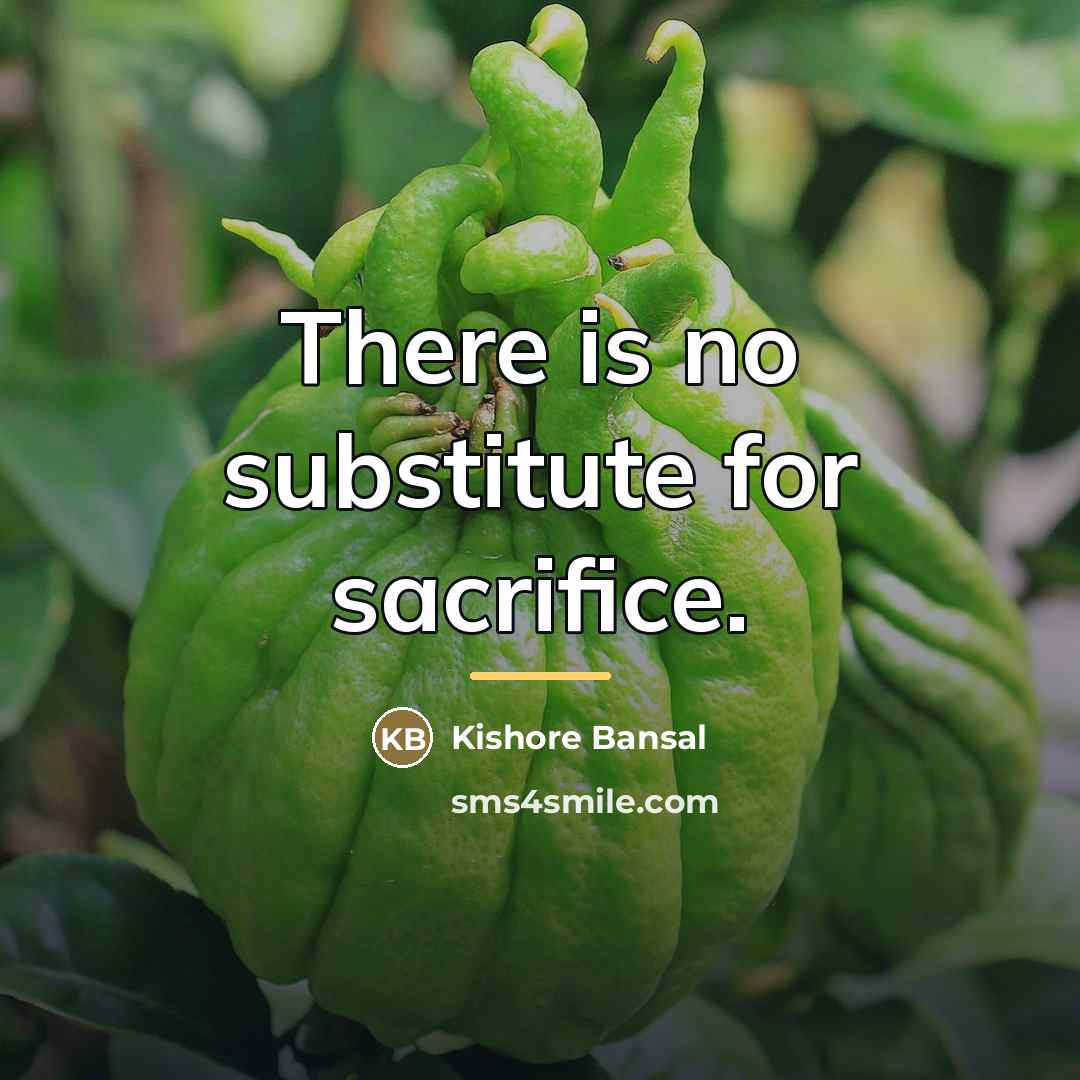 “There is no substitute for sacrifice.…” quote by Kishore Bansal