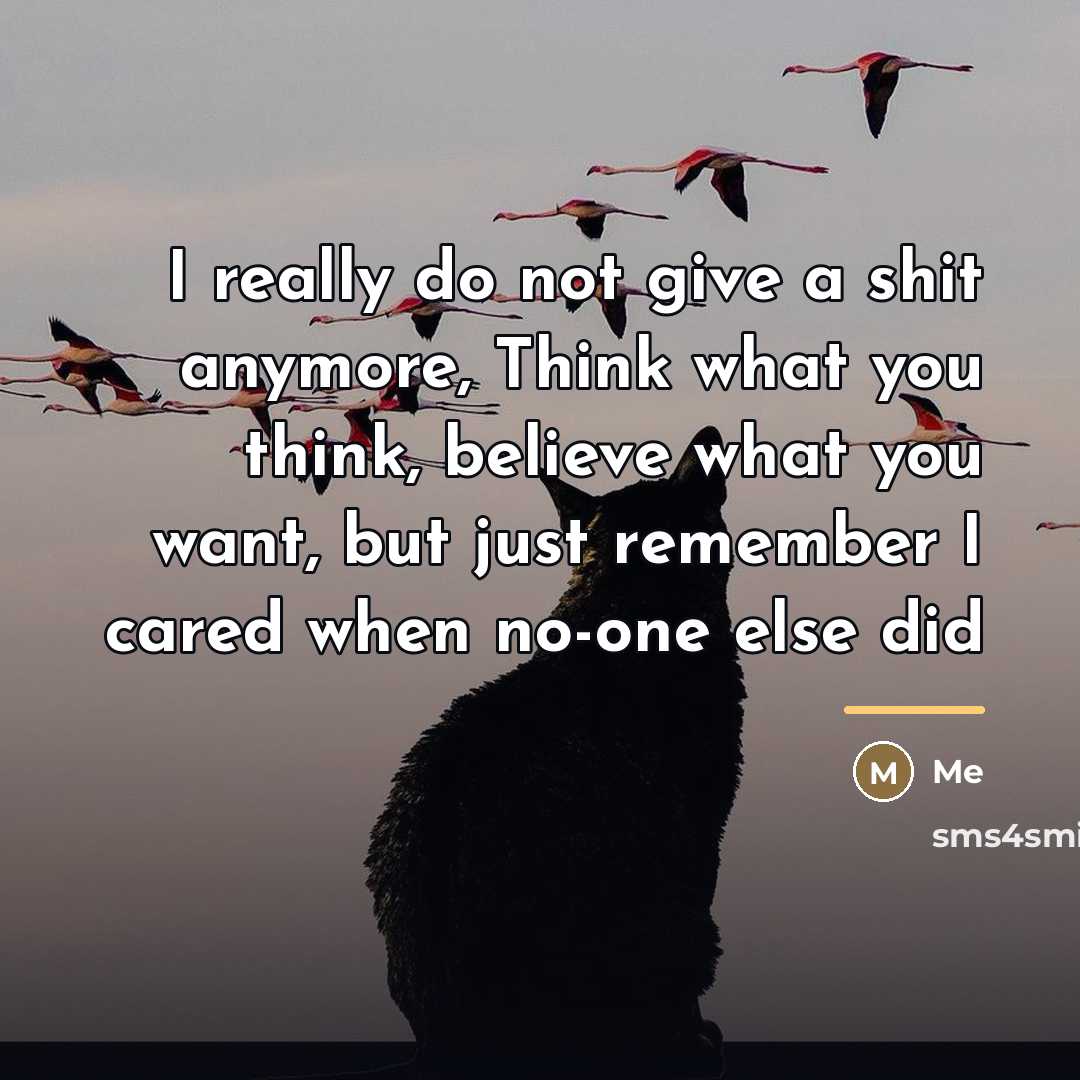 “I really do not give a shit anymore, Think what…” quote by Me