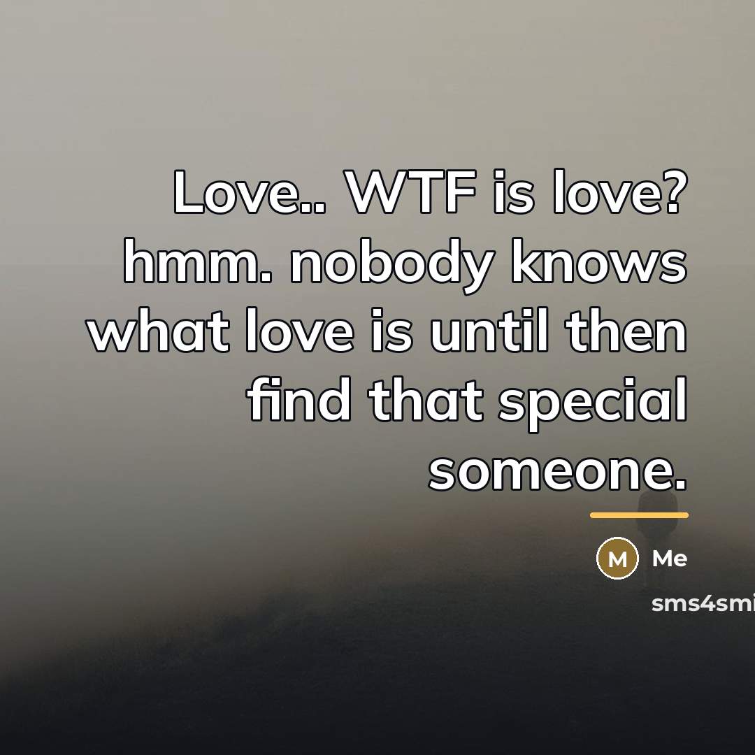 “Love.. WTF is love? hmm. nobody knows what love is…” quote by Me