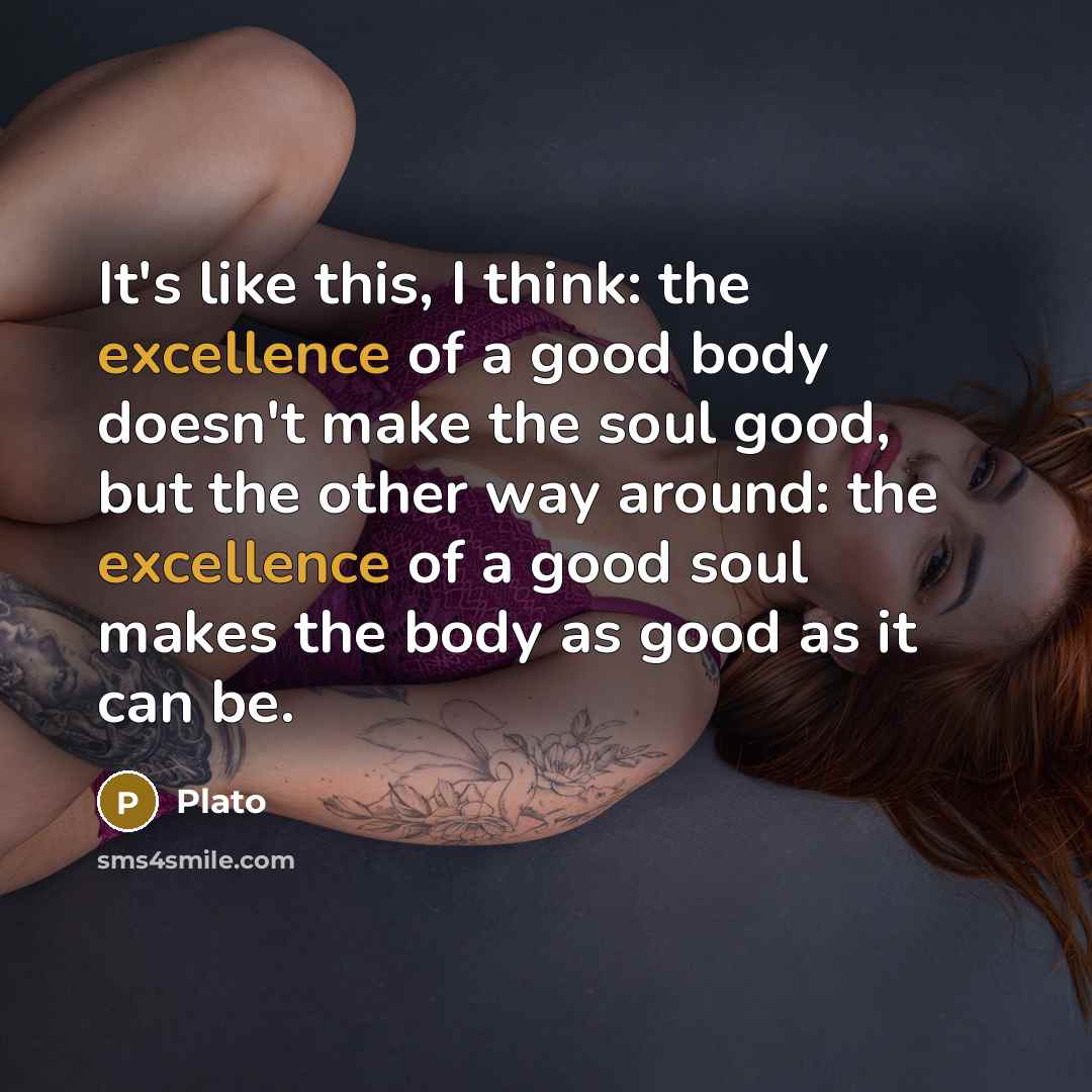 “It's like this, I think: the excellence of a good…” quote by Plato