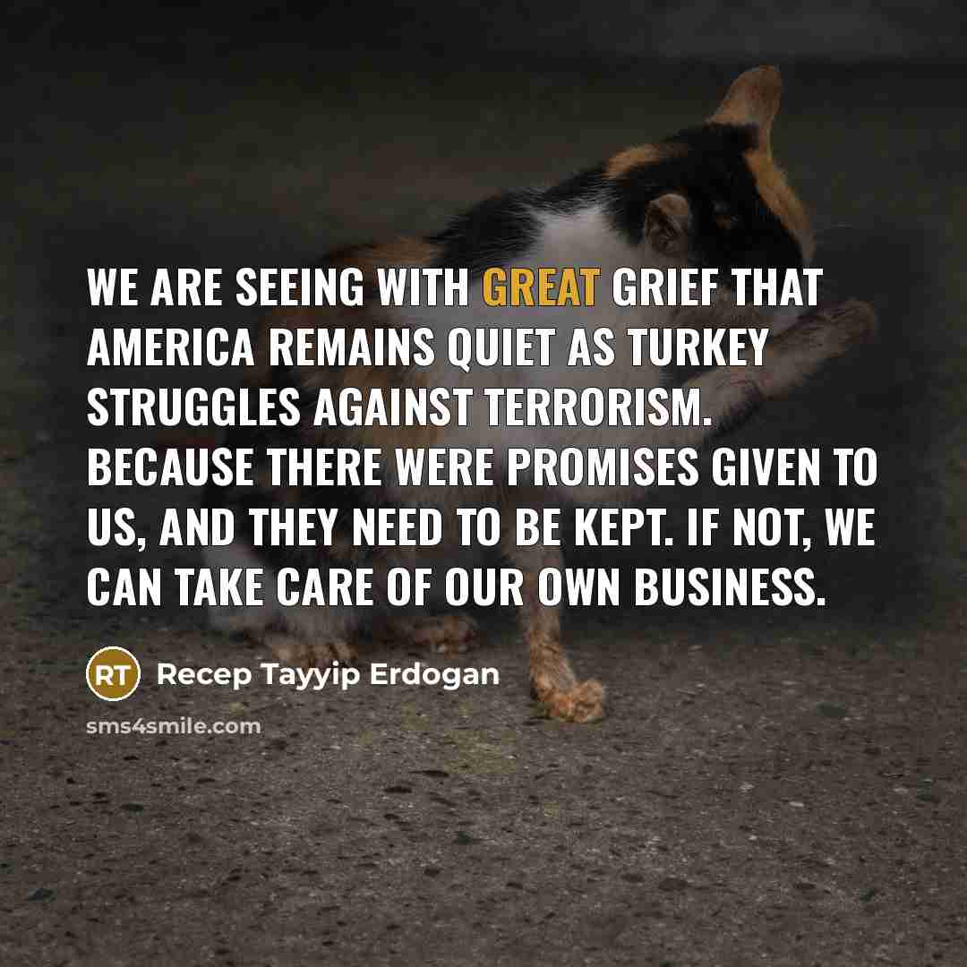 “We are seeing with great grief that America remains quiet…” quote by Recep Tayyip Erdogan