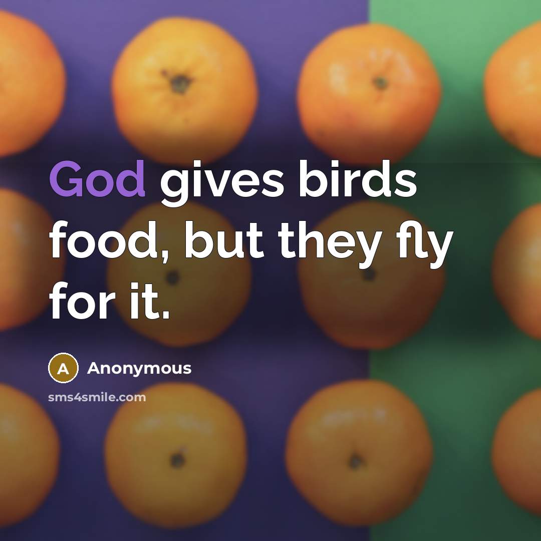 “God gives birds food, but they fly for it.…” quote by Anonymous