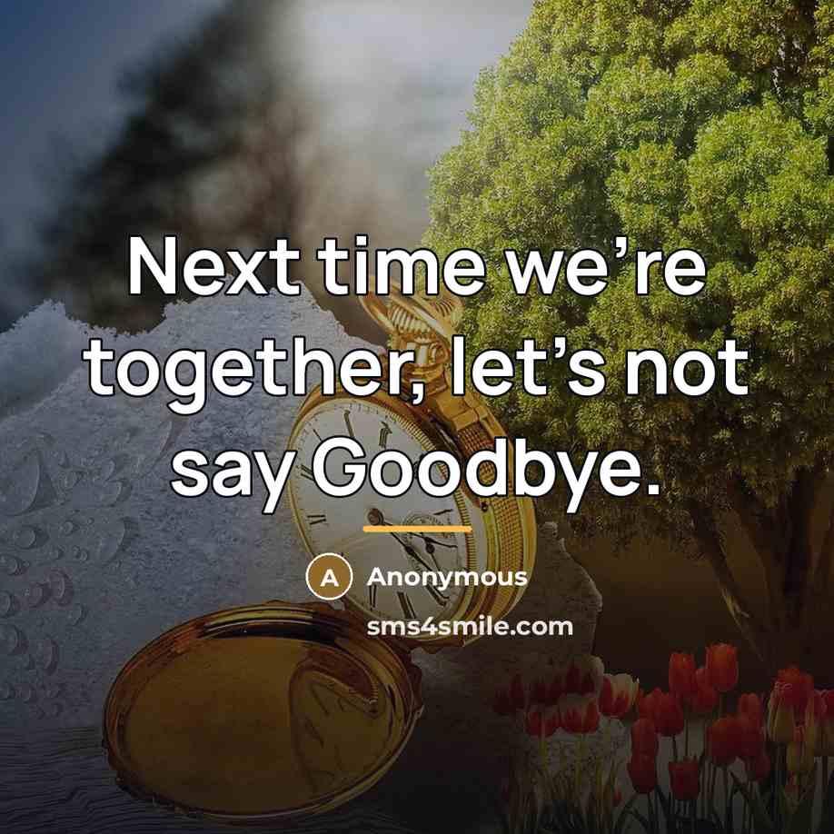 “Next time we're together, let's not say Goodbye.…” quote by Anonymous