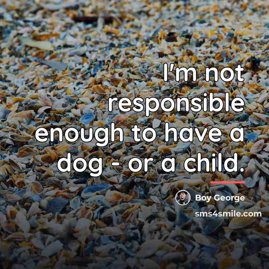 “I'm not responsible enough to have a dog - or…” quote by Boy George