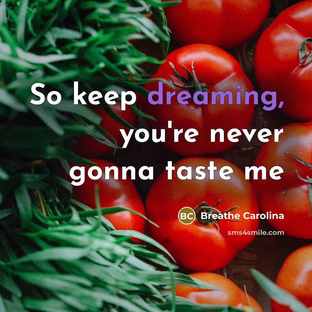 “So keep dreaming, you're never gonna taste me…” quote by Breathe Carolina