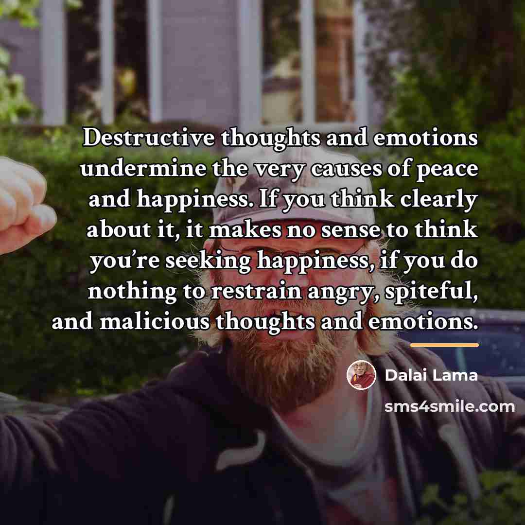 “Destructive thoughts and emotions undermine the very causes of peace…” quote by Dalai Lama