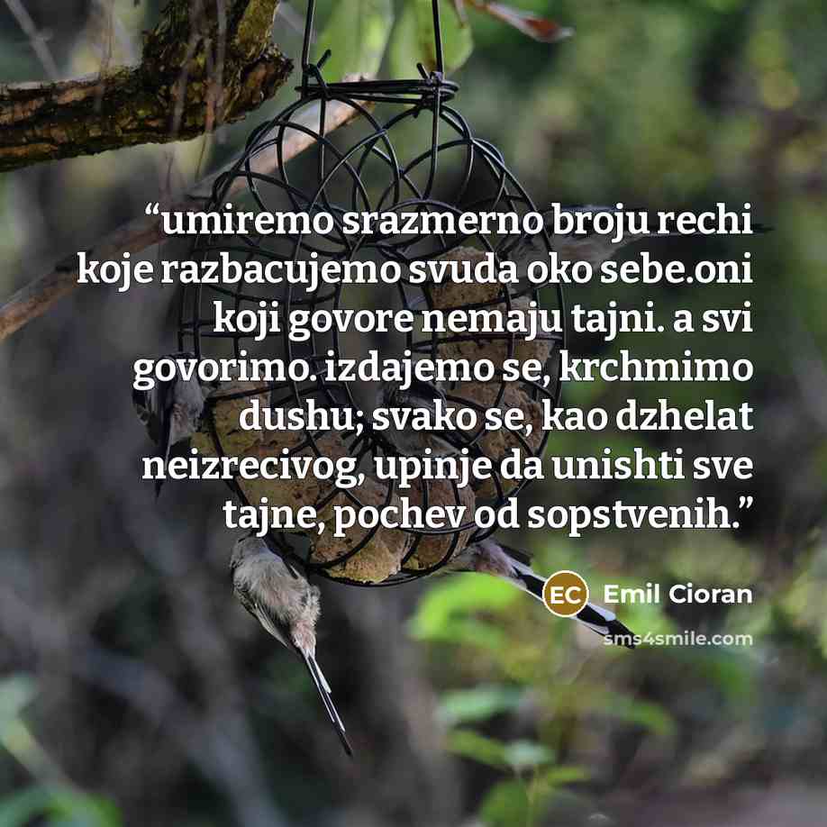 “umiremo srazmerno broju rechi koje razbacujemo svuda oko sebe.oni koji govore nemaju tajni. a svi govorimo. izdajemo se, krchmimo dushu; svako se, kao dzhelat neizrecivog, upinje da unishti sve tajne, pochev od sopstvenih.” quote by Emil Cioran