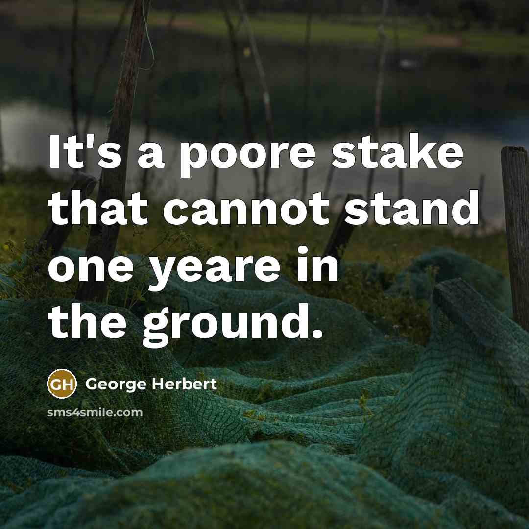“It's a poore stake that cannot stand one yeare in the ground.” quote by George Herbert
