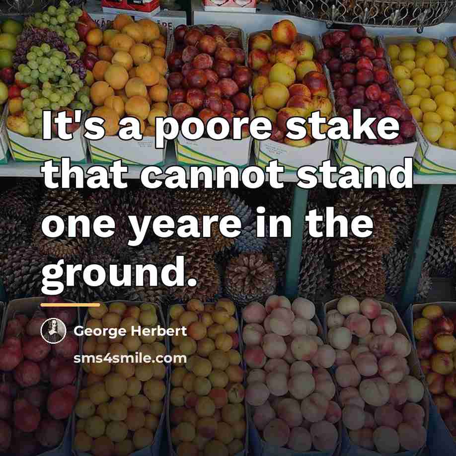 “It's a poore stake that cannot stand one yeare in…” quote by George Herbert