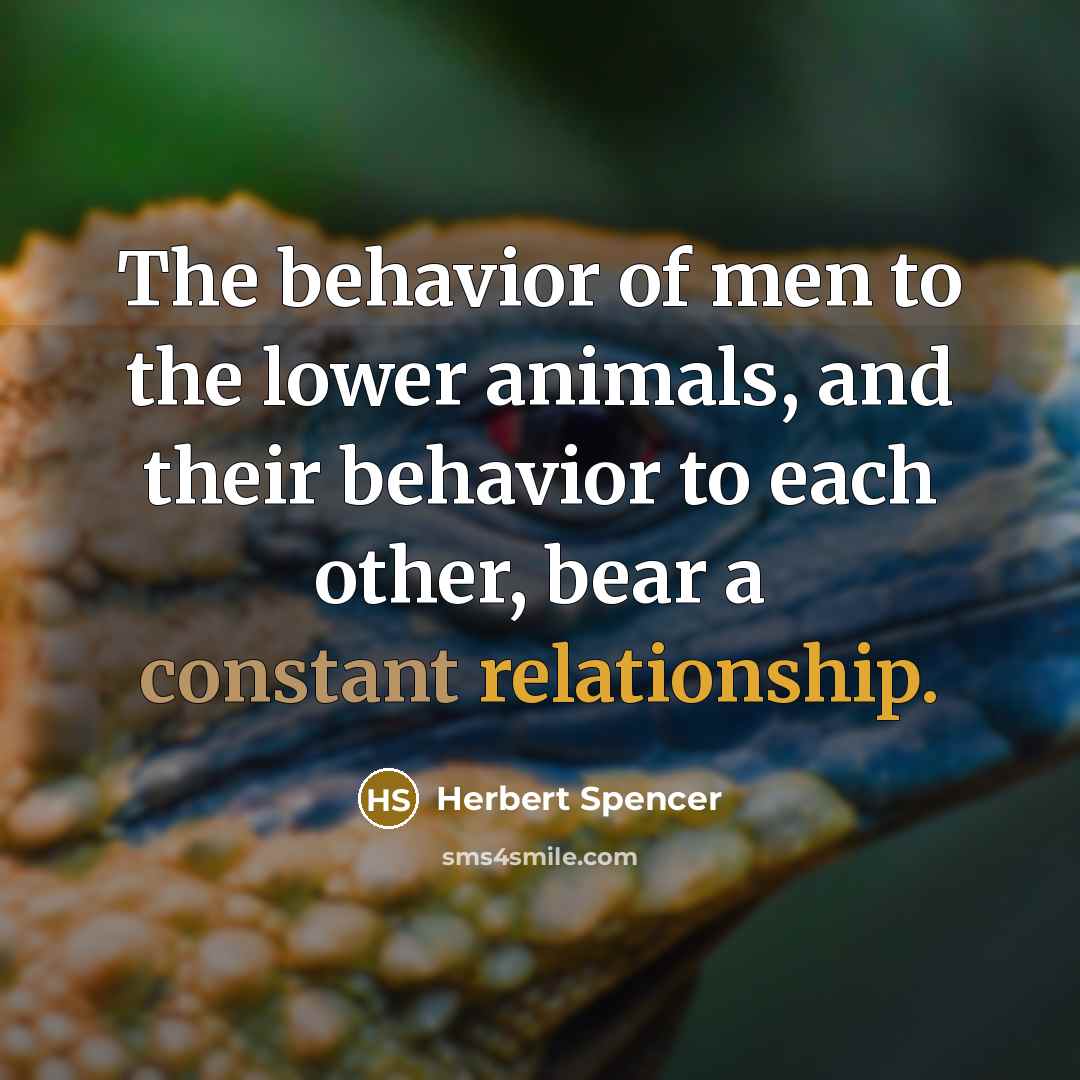 “The behavior of men to the lower animals, and their behavior to each other, bear a constant relationship.” quote by Herbert Spencer