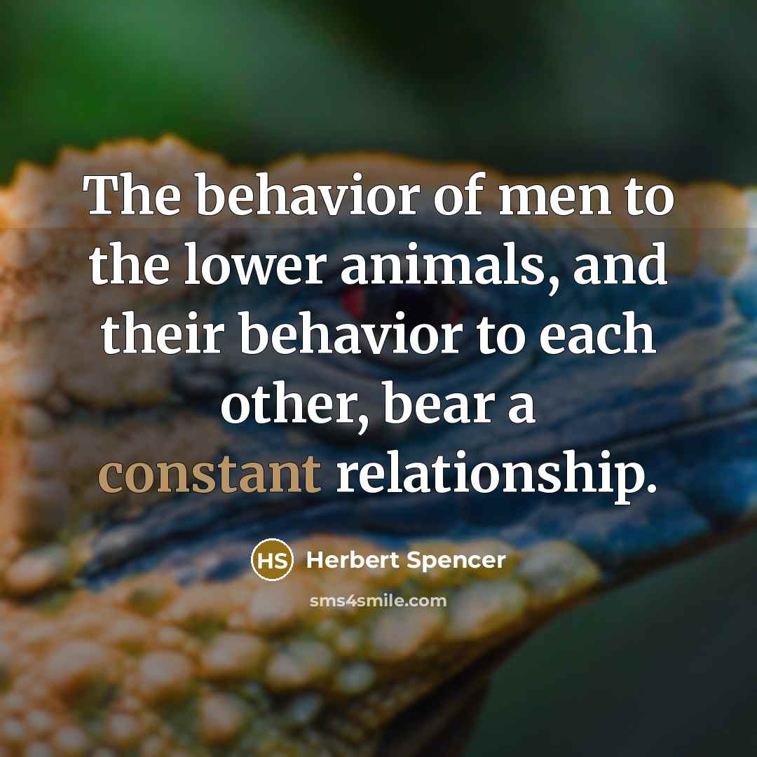 “The behavior of men to the lower animals, and their…” quote by Herbert Spencer